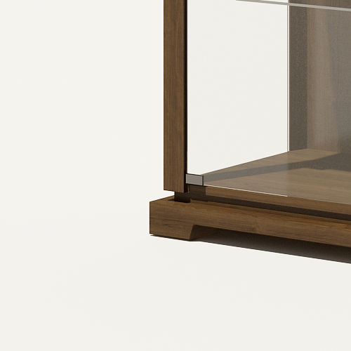 Collector's Сhina Сabinet