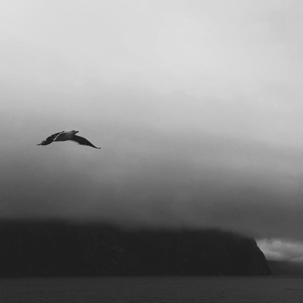 Акватория Авачинского залива